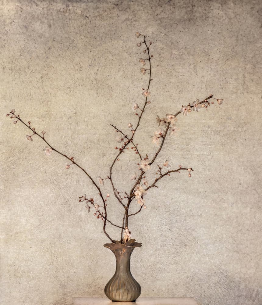 Delicate Spring Blossoms by Marie-anne Stas — canvas wall art