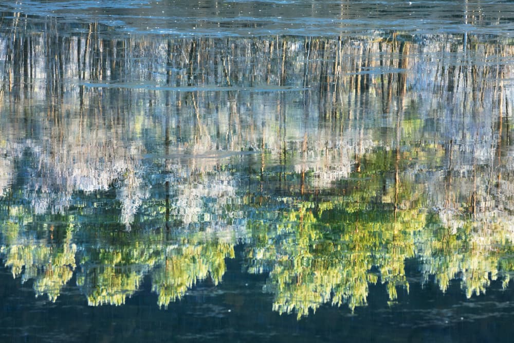 Calm Water Reflections by Daniel Gastager — canvas wall art