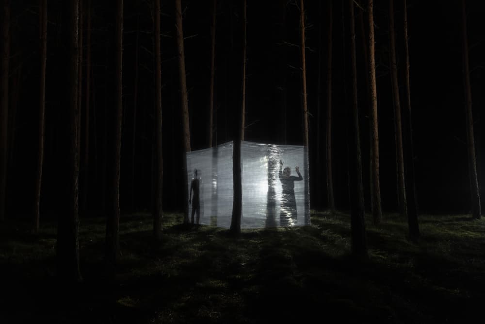 Mysterious Forest Cube by Leszek Paradowski — canvas wall art