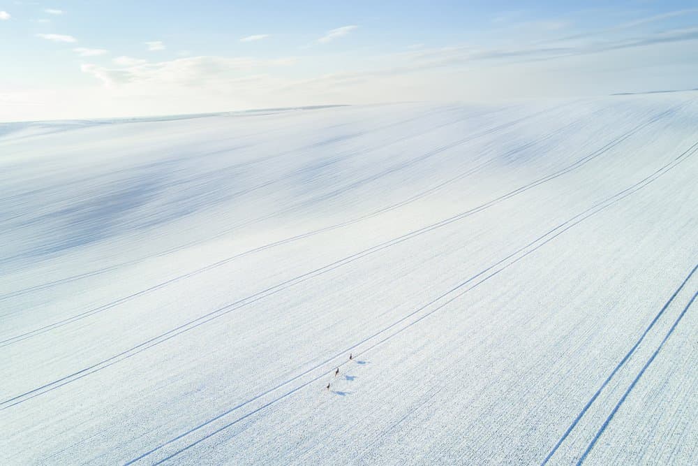 Vast Winter Field by Vasily Iakovlev — canvas wall art
