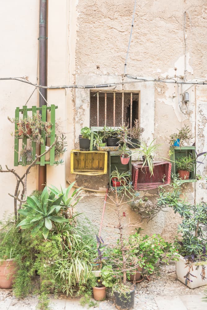 Urban Garden Window by Photolovers — canvas wall art