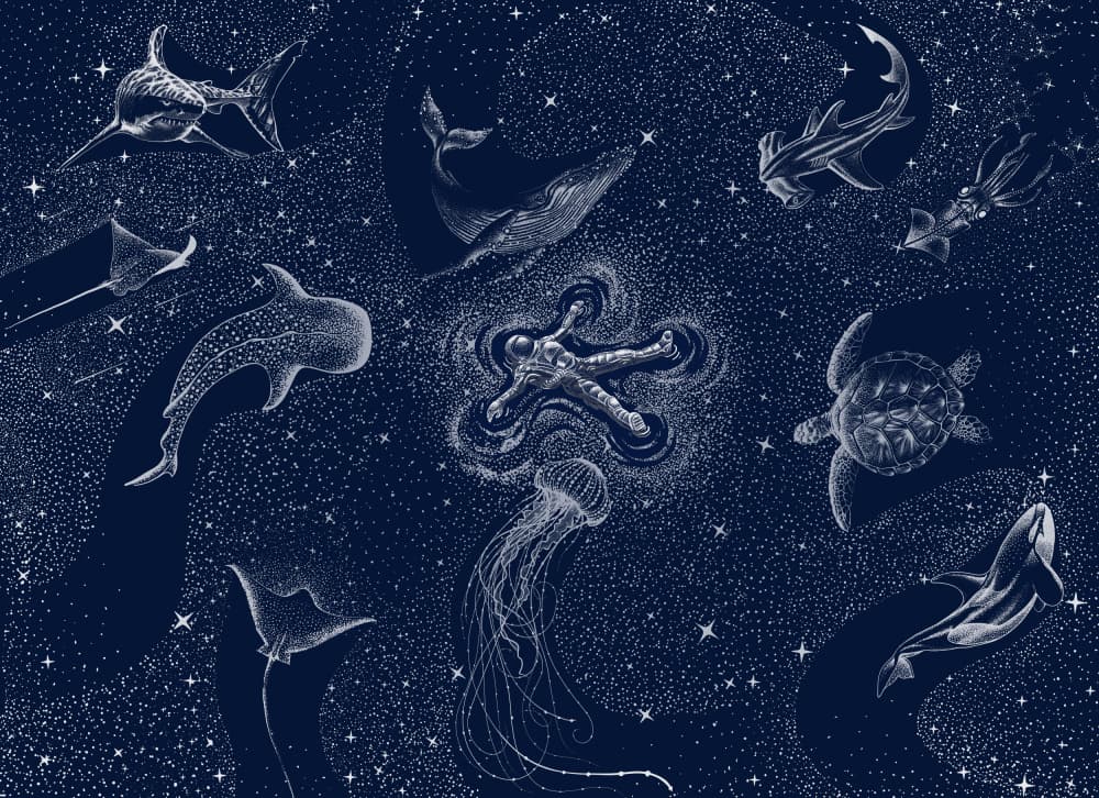 Cosmic Ocean Dream by Alirıza ÇAKIR — canvas wall art