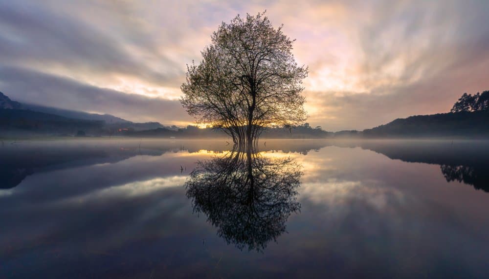 Misty Lake Reflection by Juan I. Cuadrado — canvas wall art