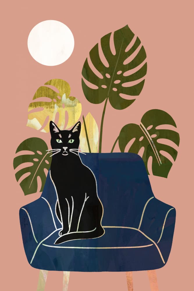 Black Cat Blue Armchair by casa cartissi — canvas wall art