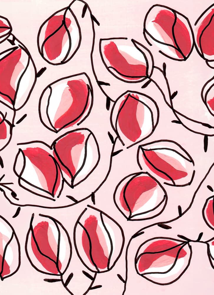 Blushing Petal Pattern by Lori Ann Folz — canvas wall art