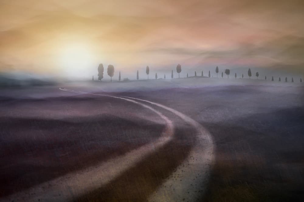 Misty Country Road by Christina Sillèn — canvas wall art