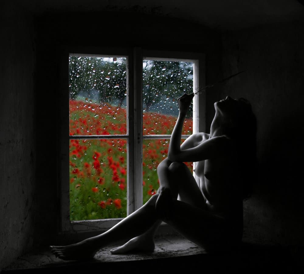 Rainy Window Poppies by Garik — canvas wall art