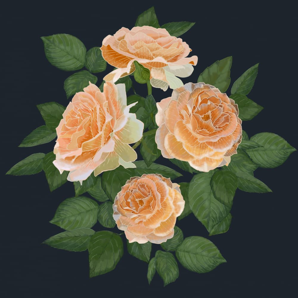 Bunch of Roses by Katie O'Shea — canvas wall art
