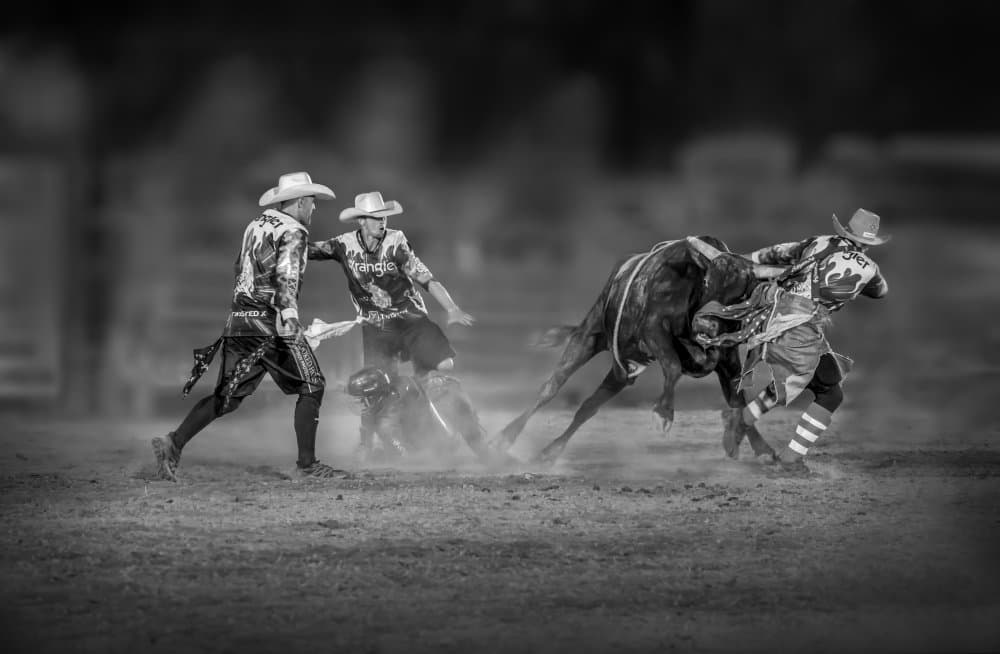Cowboys Wrestle Bull by Irene Wu — canvas wall art