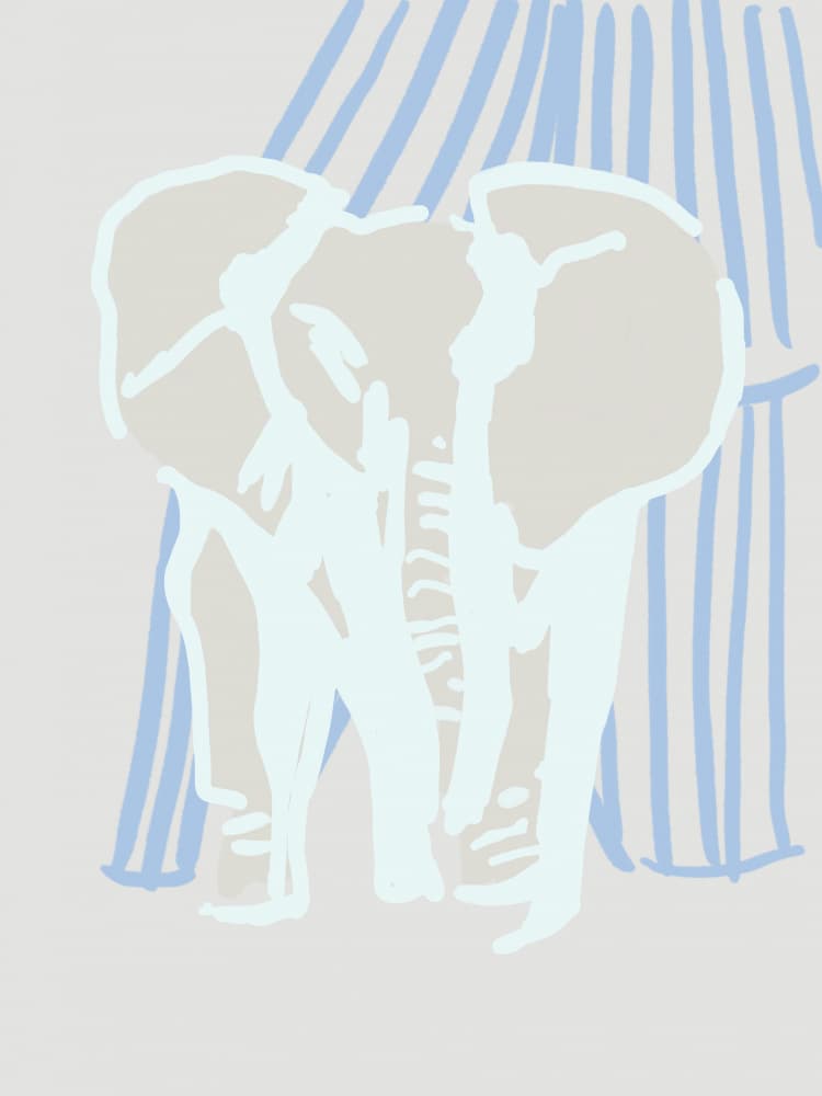 Baby Elephant Blue Stripes by Carola Cedell — canvas wall art
