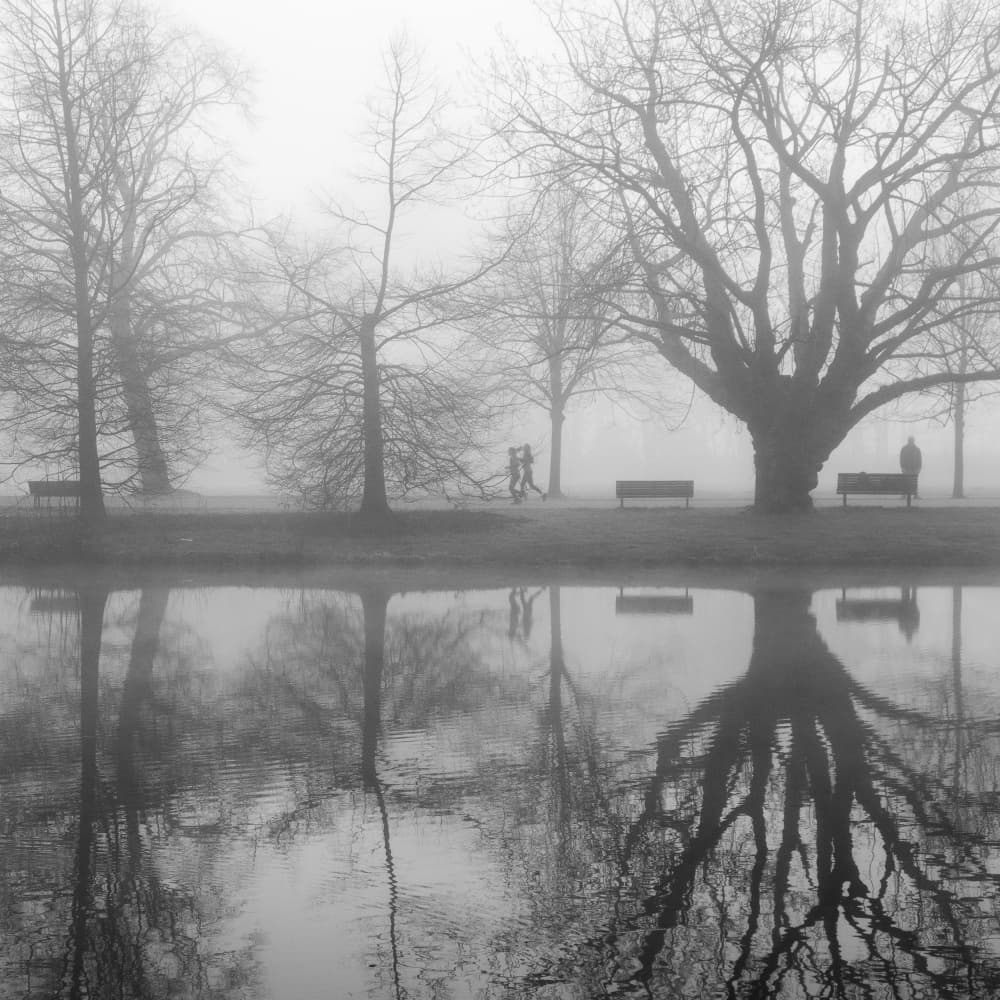 Misty Park Reflections by wiebe wilbers — canvas wall art