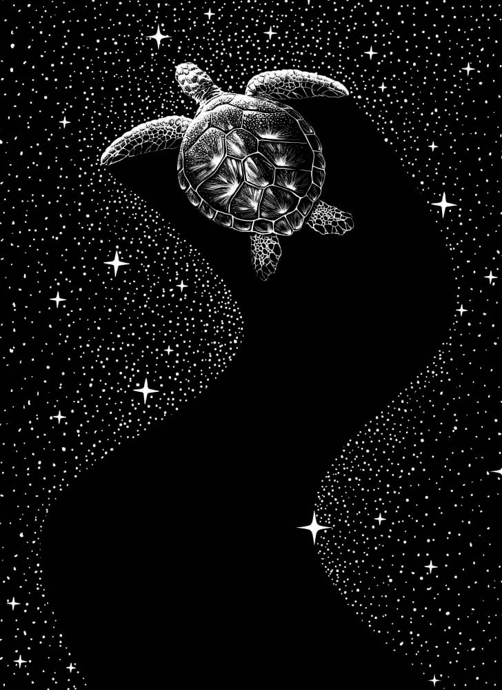 Cosmic Sea Turtle by Alirıza ÇAKIR — canvas wall art