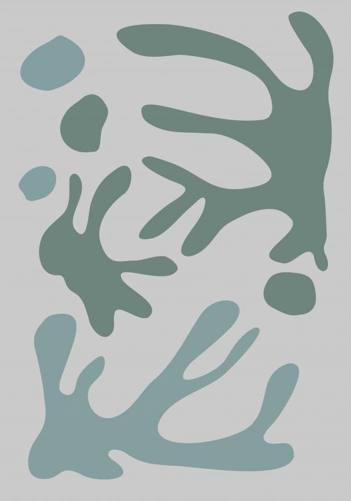 Fluid Organic Shapes by Pictufy Studio II — canvas wall art