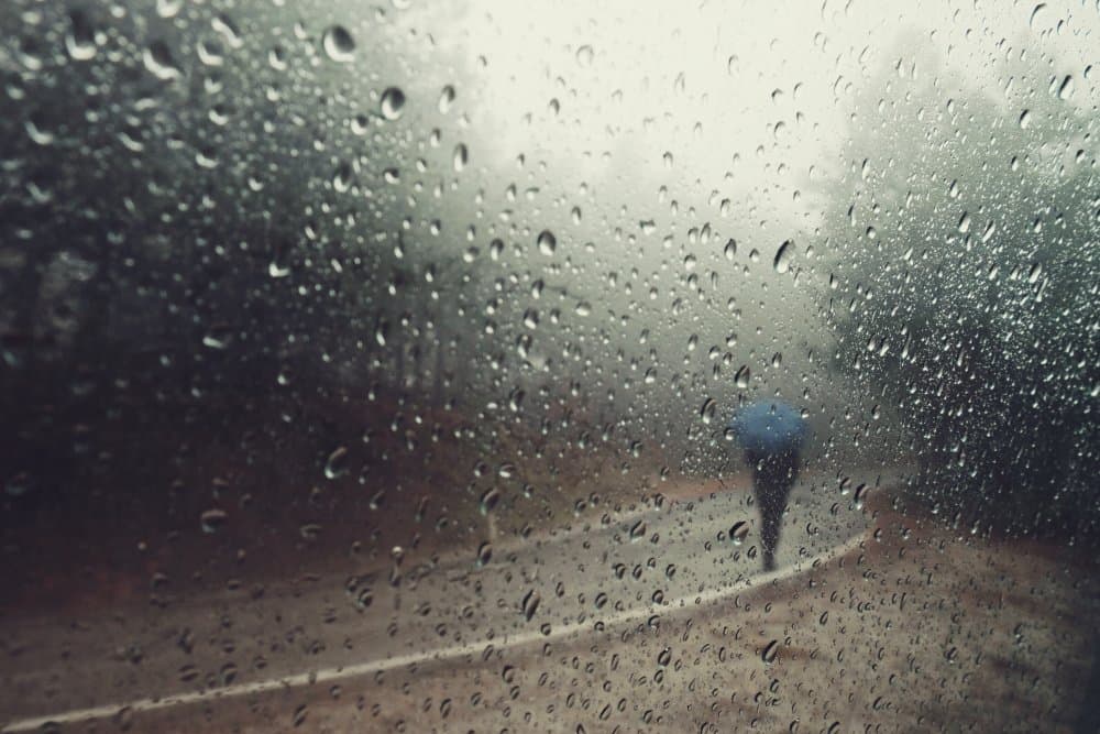 Walking In The Rain by Ali Ayer — canvas wall art