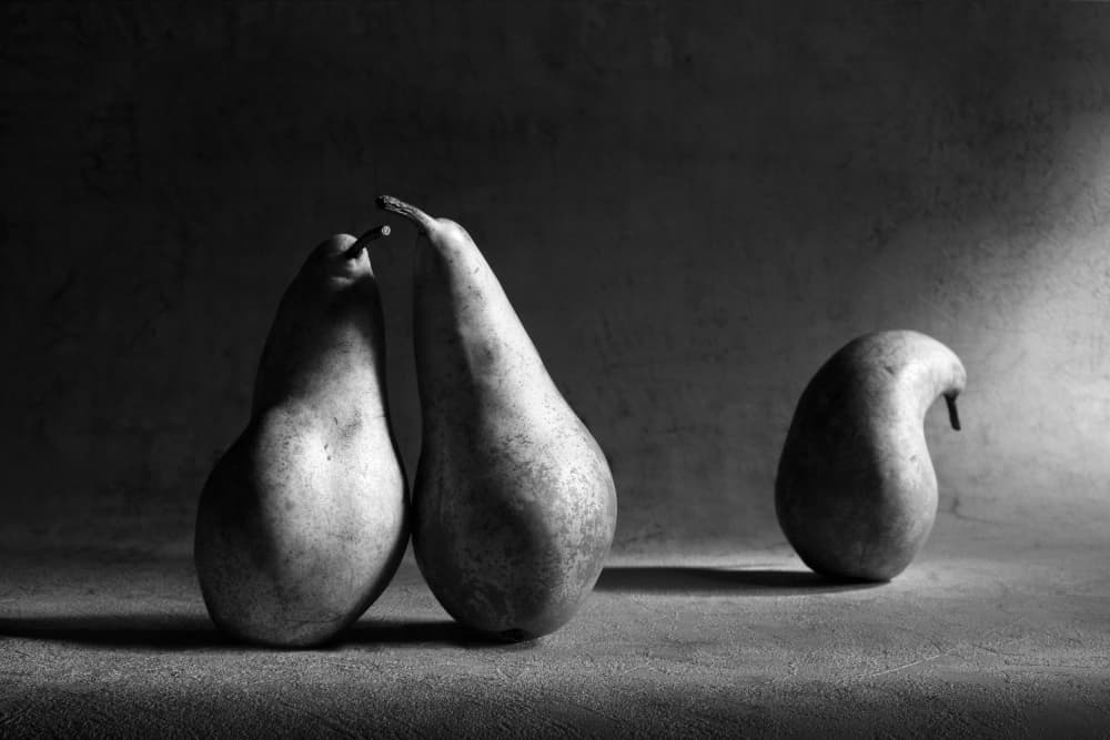 Pears In Shadow Play by Victoria Glinka — canvas wall art