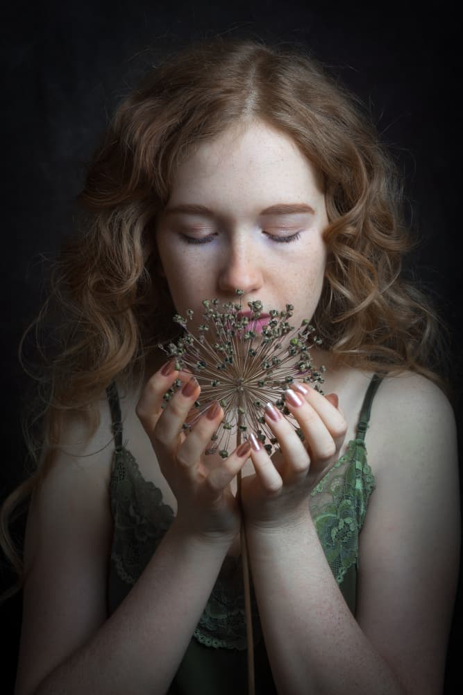 Ethereal Allium Portrait by Ruth Franke — canvas wall art