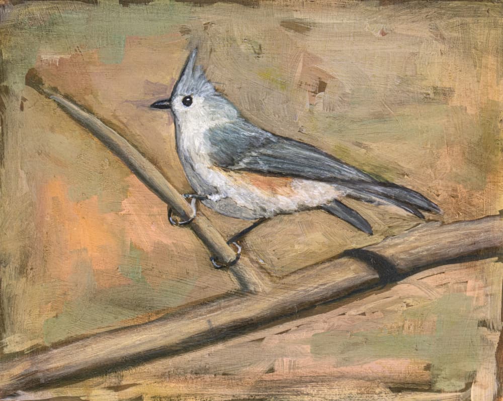 Tufted Titmouse Perched by Claire Lerner — canvas wall art