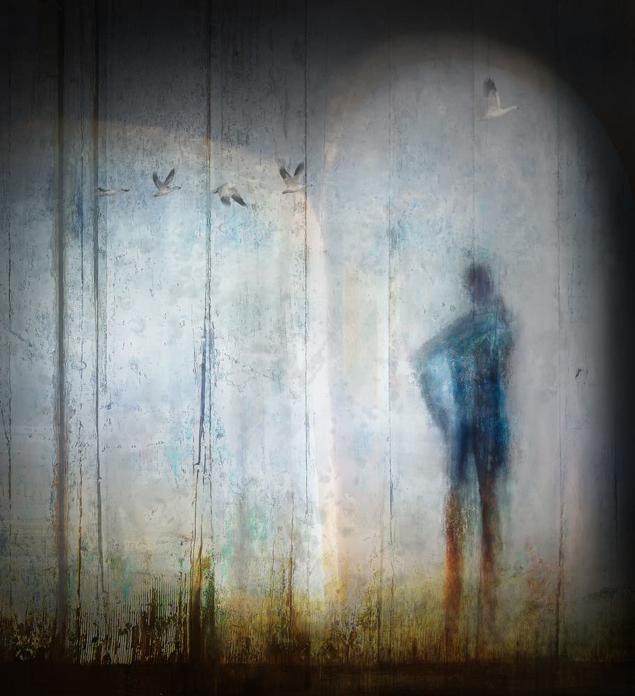 Ethereal Man With Birds by Shenshen Dou — canvas wall art