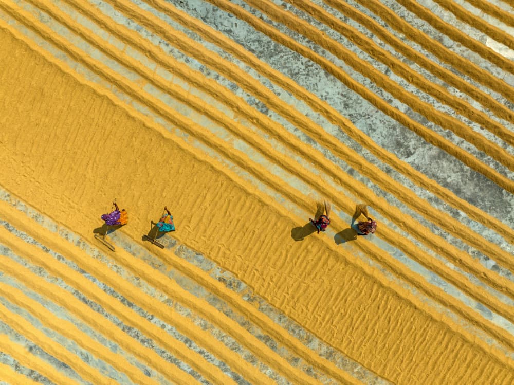 Rice Drying Patterns by Azim Khan Ronnie — canvas wall art