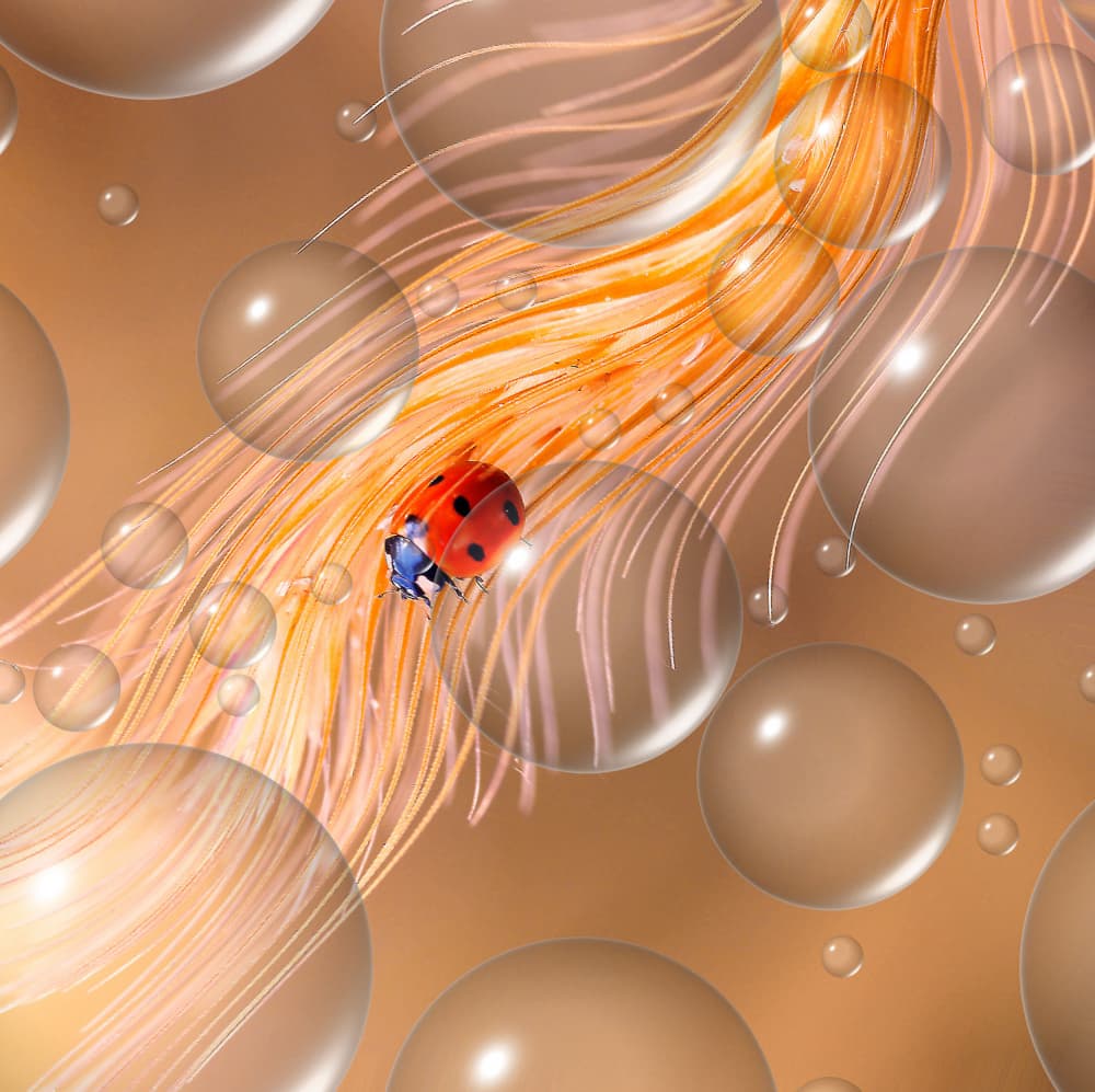 Ladybug Floating Bubbles by Thierry Dufour — canvas wall art