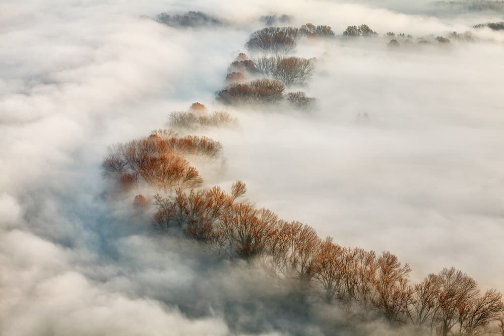 Winding River Fog by Fiorenzo Carozzi — canvas wall art