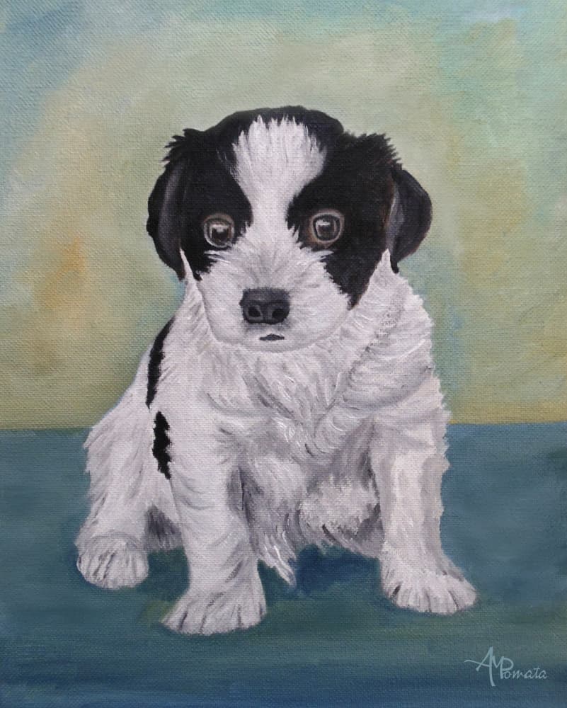 Adorable Fluffy Puppy by Angeles M. Pomata — canvas wall art