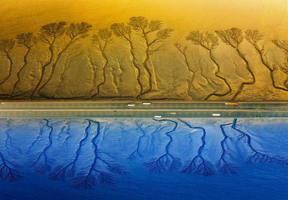 Golden Blue Tree Patterns by Yuan Su — canvas wall art