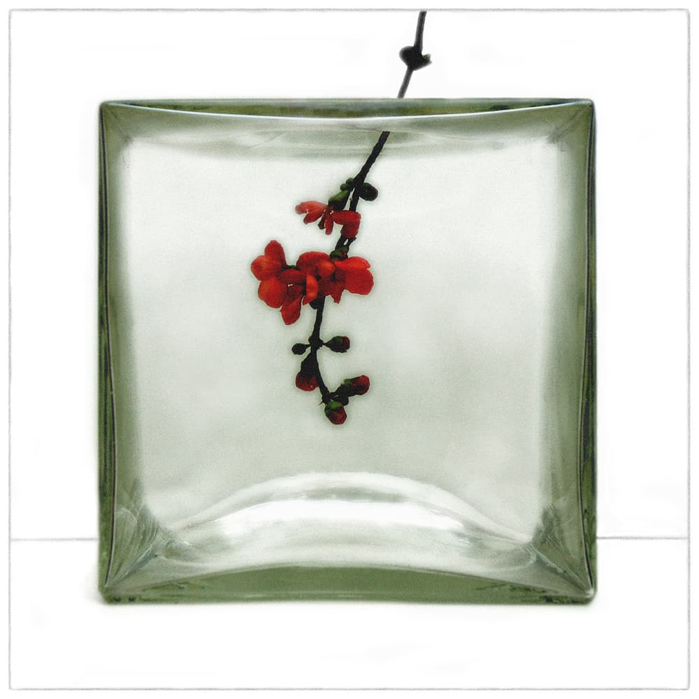 Red Flowers Glass Block by Huib Limberg — canvas wall art