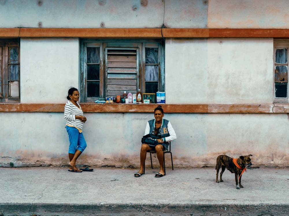 Street Life Companions by Andy Bauer — canvas wall art