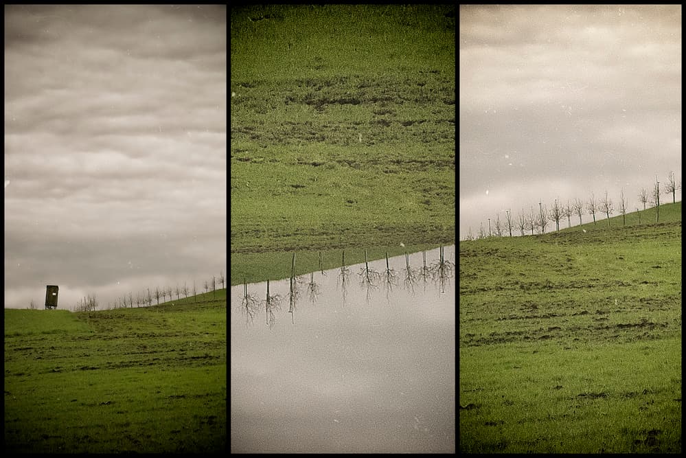 Green Fields Quiet Reflection by Krisztina Lacz — canvas wall art
