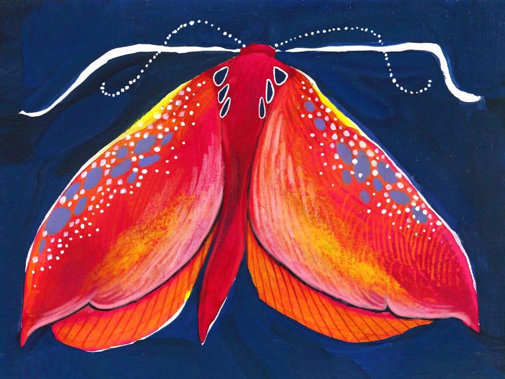 Colorful Night Moth by Olga Skomorokhova — canvas wall art