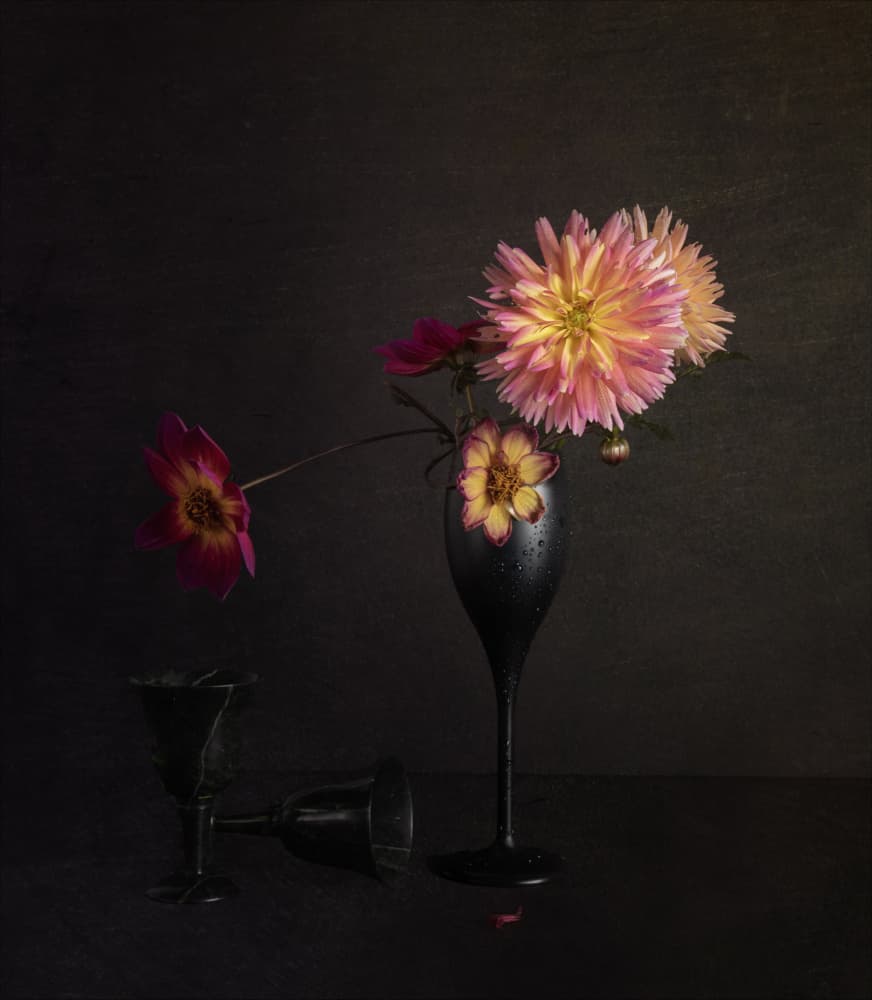 Moody Dahlia Still Life by John-Mei Zhong — canvas wall art