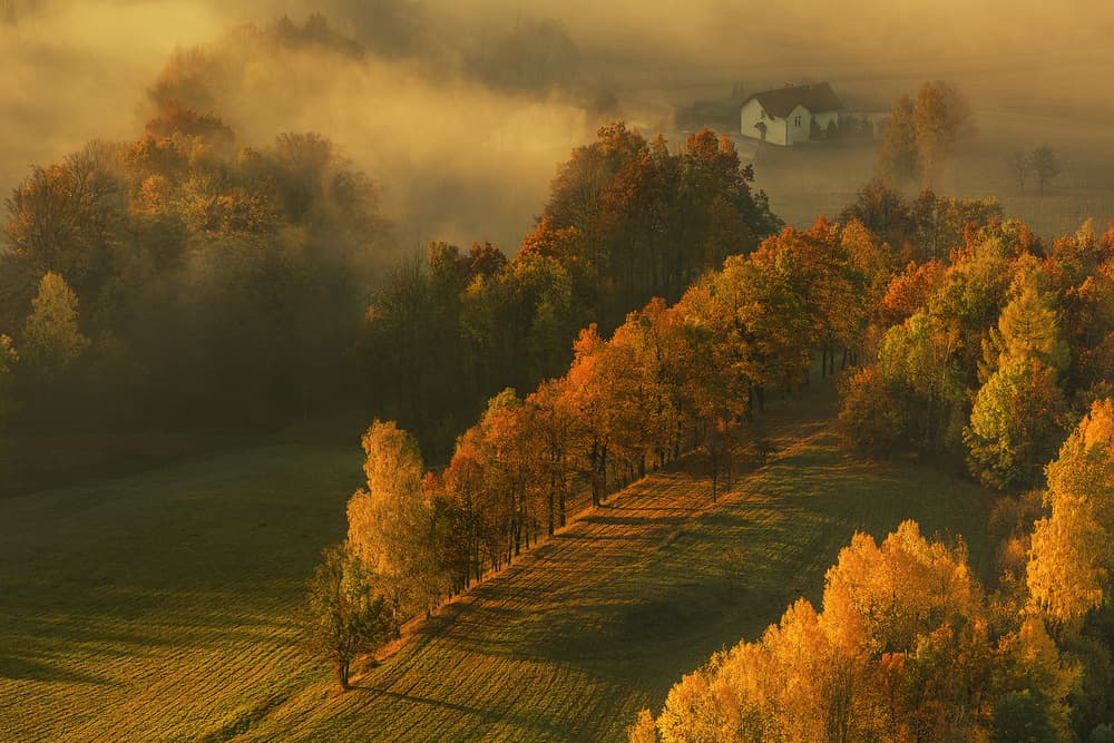 Golden Foggy Autumn by Izabela Laszewska-Mitrega / Darek Mitręga — canvas wall art