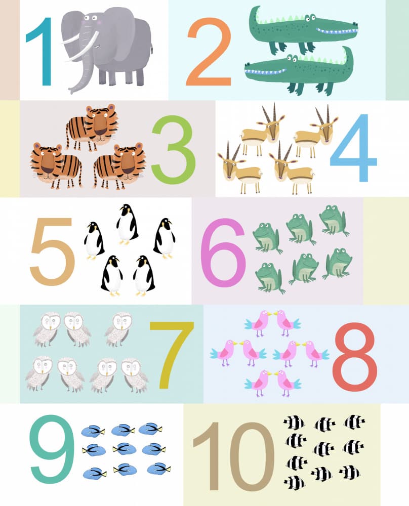 Playful Animal Counting by Carla Daly — canvas wall art