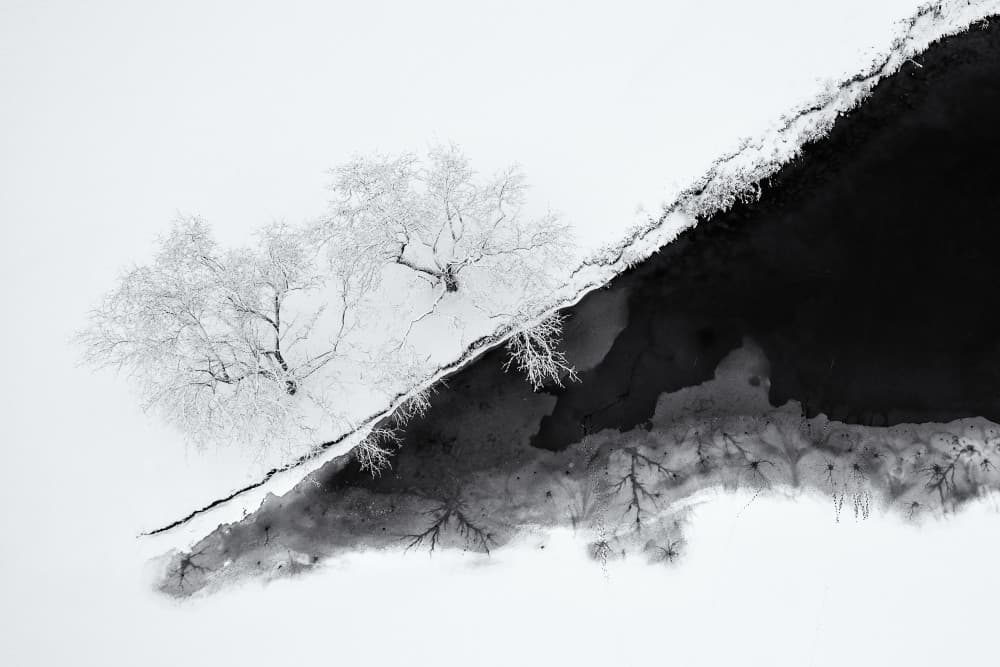 Frozen Trees Dark Water by Mei Xu — canvas wall art