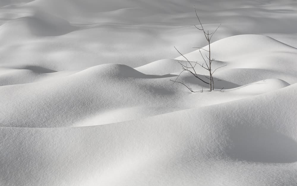 Serene Winter Snowscape by Miroslaw Prybinski — canvas wall art