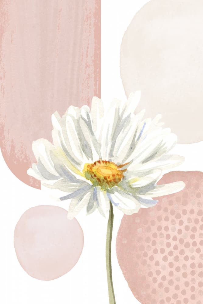 Pink Abstract Daisy by Sally Ann Moss — canvas wall art