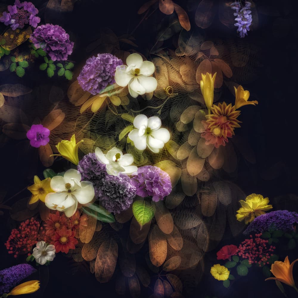 Rich Dark Blooms by Ludmila Shumilova — canvas wall art
