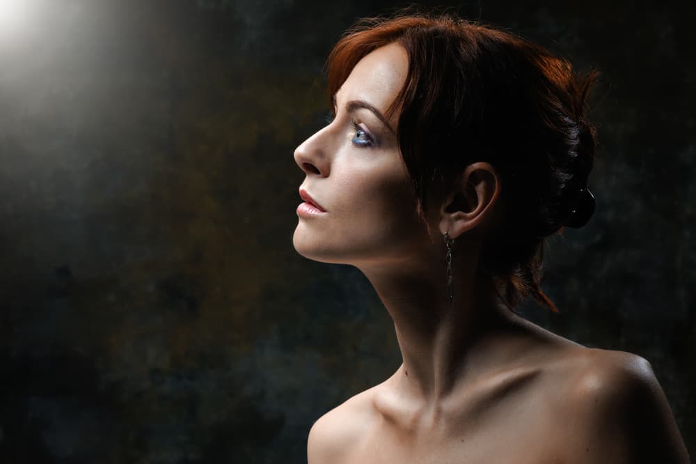 Elegant Woman Profile by Constantin Shestopalov — canvas wall art