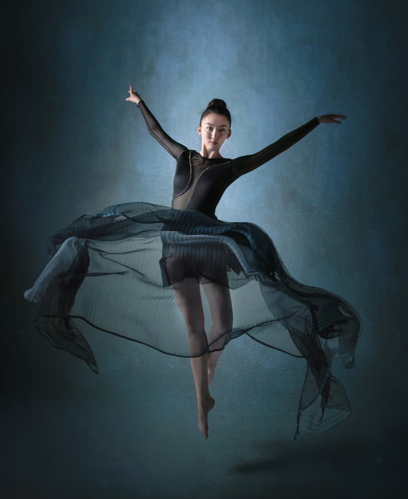 Dancer's Graceful Flight by Catherine Wang — canvas wall art