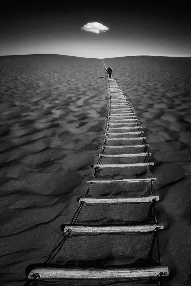 Ladder to the Cloud by Steven Zhou — canvas wall art