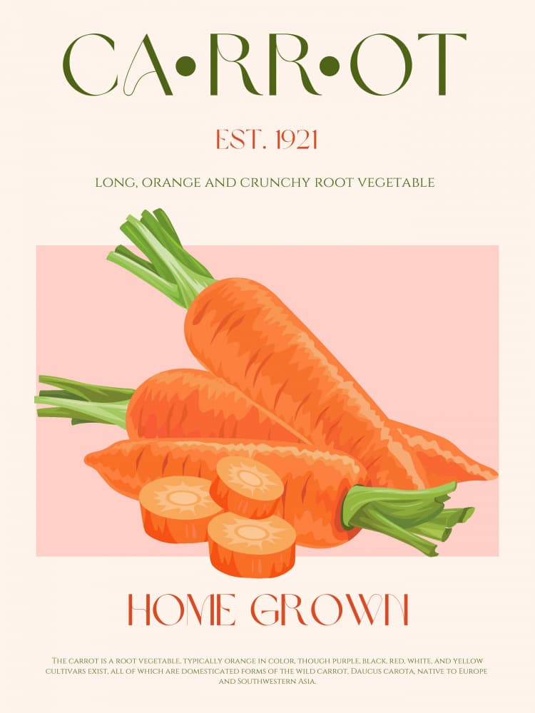 Home Grown Carrots by Nazma Khokhar — canvas wall art