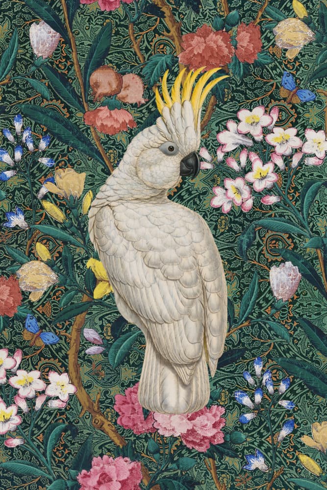 Vibrant Cockatoo Jungle by Marja van den Hurk — canvas wall art