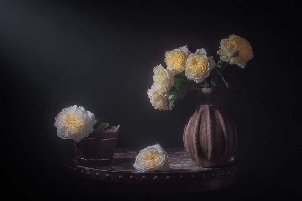 Elegant Yellow Roses by Lydia Jacobs — canvas wall art