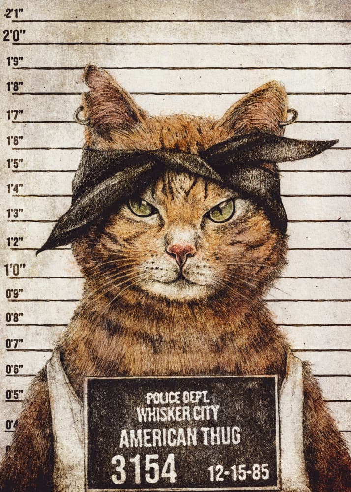 American Thug by Mike Koubou — canvas wall art