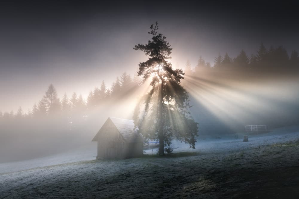 Misty Morning Sunrays by Karol Nienartowicz — canvas wall art