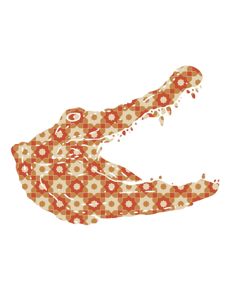 Geometric Crocodile Jaws by Emiliano Deificus — canvas wall art