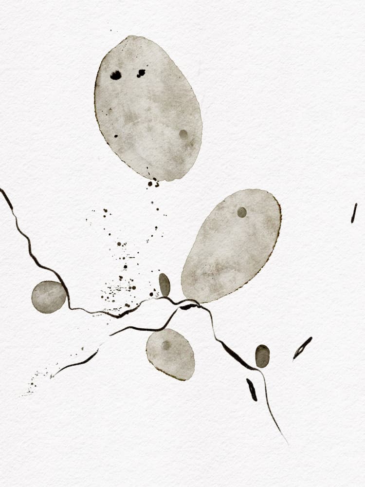 Ethereal Ink Shapes by Ankie Kooi — canvas wall art