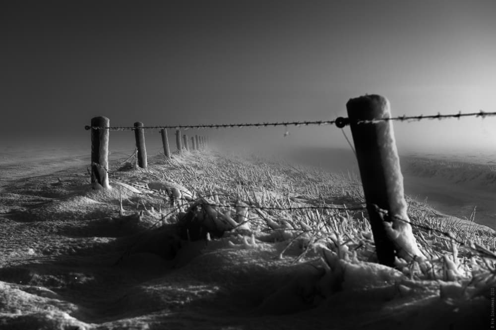 Misty Winter Fence by Wim Schuurmans — canvas wall art