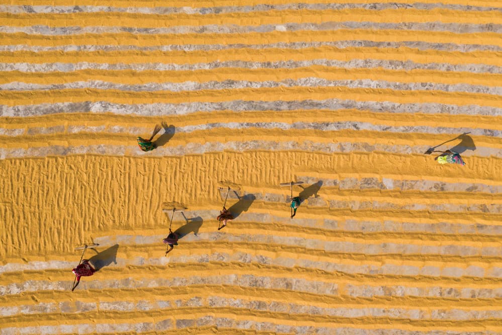 Golden Rows Drying by Azim Khan Ronnie — canvas wall art